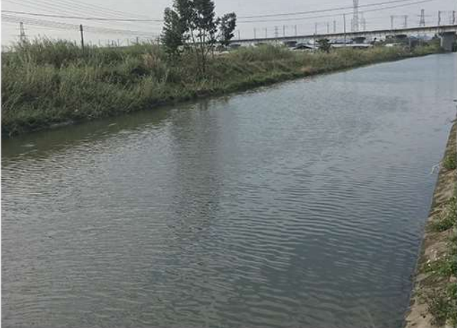 惠州潼湖河道水处理项目